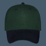 OTTO CAP 6 Panel Low Profile Baseball Cap