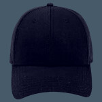OTTO CAP 6 Panel Low Profile Baseball Cap