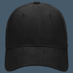 OTTO CAP 6 Panel Low Profile Baseball Cap