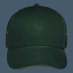 OTTO CAP 6 Panel Low Profile Baseball Cap