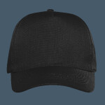 OTTO CAP 5 Panel Mid Profile Baseball Cap