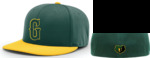 Player Hat 2025 PTS20 PULSE R-FLEX