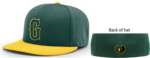 PLAYER HAT 2025PTS20 PULSE R-FLEX